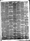 South Wales Daily Telegram Friday 09 July 1880 Page 5