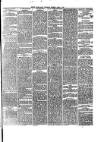 South Wales Daily Telegram Tuesday 05 April 1881 Page 3