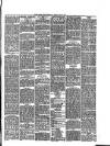 South Wales Daily Telegram Monday 26 May 1884 Page 3