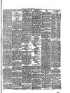 South Wales Daily Telegram Thursday 29 May 1884 Page 3