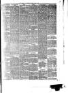 South Wales Daily Telegram Tuesday 02 June 1885 Page 3