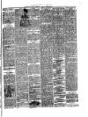 South Wales Daily Telegram Monday 22 March 1886 Page 3