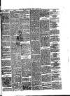 South Wales Daily Telegram Tuesday 30 March 1886 Page 3
