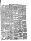 South Wales Daily Telegram Tuesday 15 June 1886 Page 3