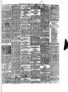 South Wales Daily Telegram Saturday 29 January 1887 Page 3