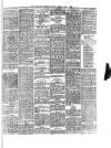 South Wales Daily Telegram Saturday 29 January 1887 Page 4
