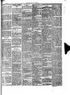 South Wales Daily Telegram Saturday 13 April 1889 Page 3