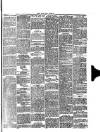 South Wales Daily Telegram Tuesday 16 April 1889 Page 3