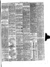 South Wales Daily Telegram Tuesday 14 May 1889 Page 3
