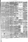 South Wales Daily Telegram Tuesday 12 November 1889 Page 3