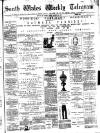 South Wales Daily Telegram Friday 15 November 1889 Page 5