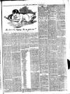 South Wales Daily Telegram Friday 15 November 1889 Page 7