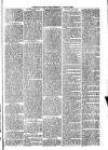 Hants and Sussex News Wednesday 20 August 1890 Page 3