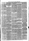 Hants and Sussex News Wednesday 16 January 1895 Page 3