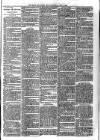 Hants and Sussex News Wednesday 02 June 1897 Page 3