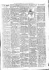 Hants and Sussex News Wednesday 21 March 1900 Page 3