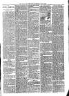 Hants and Sussex News Wednesday 13 June 1900 Page 3