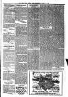 Hants and Sussex News Wednesday 16 March 1904 Page 5