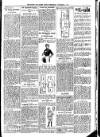 Hants and Sussex News Wednesday 05 November 1913 Page 3