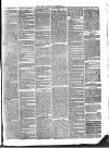 Cashel Gazette and Weekly Advertiser Saturday 08 April 1865 Page 3