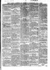Cashel Gazette and Weekly Advertiser Saturday 06 January 1866 Page 3
