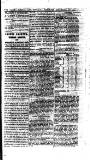 Cashel Gazette and Weekly Advertiser Saturday 19 September 1874 Page 3