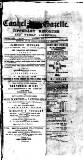 Cashel Gazette and Weekly Advertiser Saturday 02 January 1875 Page 1