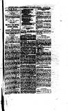 Cashel Gazette and Weekly Advertiser Saturday 11 September 1875 Page 3