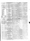 Cashel Gazette and Weekly Advertiser Saturday 11 January 1879 Page 3