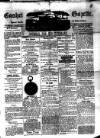 Cashel Gazette and Weekly Advertiser Saturday 24 January 1880 Page 1