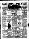 Cashel Gazette and Weekly Advertiser Saturday 14 February 1880 Page 1