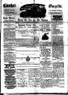 Cashel Gazette and Weekly Advertiser Saturday 25 May 1889 Page 1