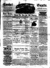 Cashel Gazette and Weekly Advertiser Saturday 22 June 1889 Page 1