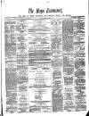 Mayo Examiner Monday 05 April 1875 Page 1