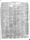 Mayo Examiner Monday 19 April 1875 Page 3