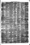 Mayo Examiner Saturday 31 January 1880 Page 3