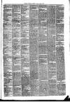 Mayo Examiner Saturday 17 March 1883 Page 3