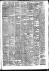 Mayo Examiner Saturday 06 April 1889 Page 3