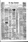 Mayo Examiner Saturday 15 March 1890 Page 1