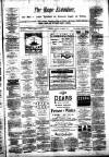 Mayo Examiner