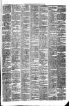 Mayo Examiner Saturday 18 May 1895 Page 3