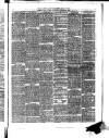 Fermanagh Times Thursday 14 April 1881 Page 3
