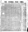 Evening Irish Times Friday 31 December 1880 Page 1