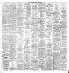 Evening Irish Times Saturday 19 February 1881 Page 3