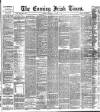 Evening Irish Times Wednesday 05 January 1887 Page 1