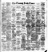 Evening Irish Times Monday 08 January 1894 Page 1