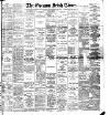 Evening Irish Times Tuesday 06 March 1894 Page 1