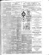 Evening Irish Times Friday 30 August 1901 Page 11