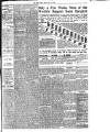 Evening Irish Times Friday 25 May 1906 Page 9