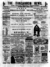 Dungannon News Thursday 16 January 1896 Page 1